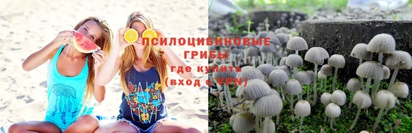 каннабис Абаза