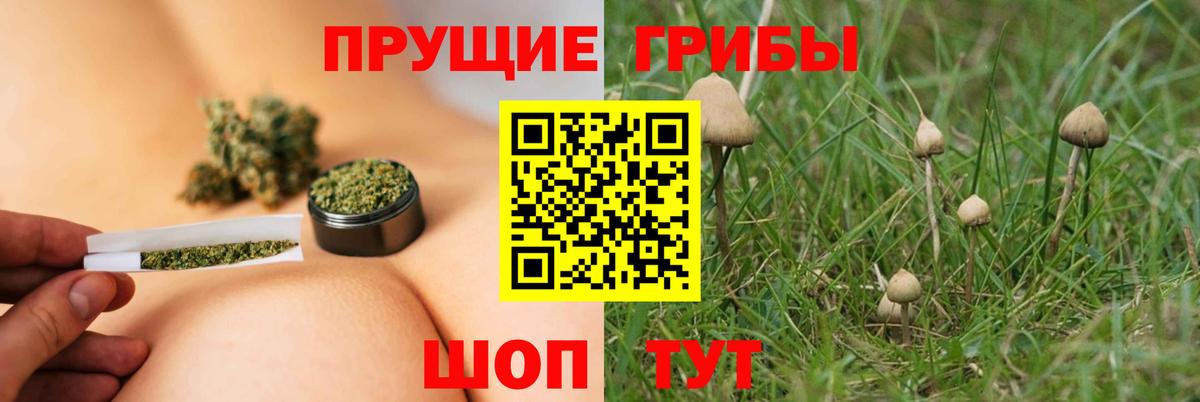 Заводоуковск  Псилоцибиновые грибы прущие грибы  Псилоцибиновые грибы Magic Shrooms  Вход с VPN 