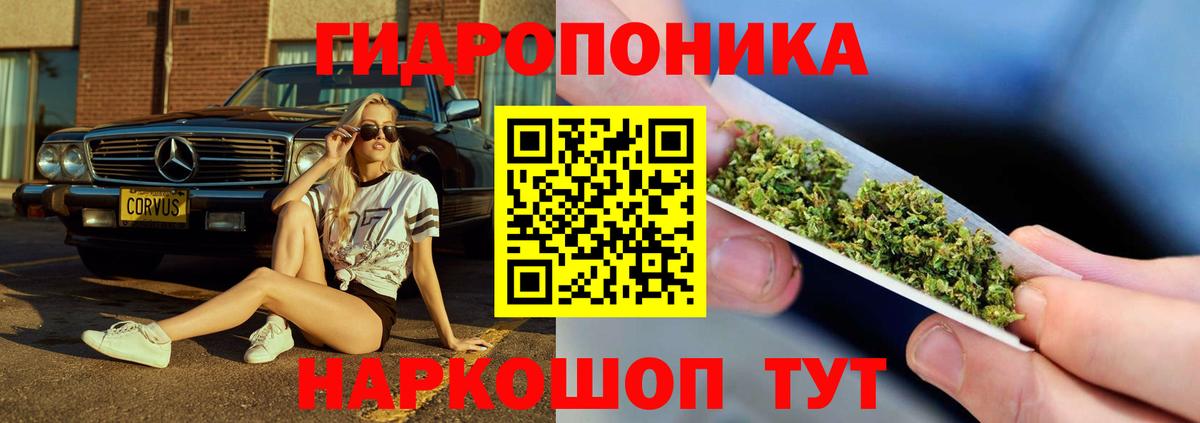 Бошки марихуана SATIVA & INDICA  Шишки марихуана MAZAR  Вход с VPN  Заводоуковск 